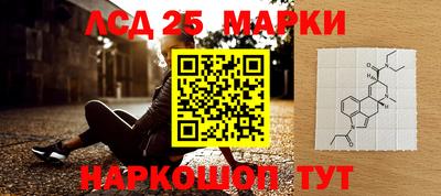 гидра Малгобек