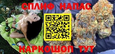 гидра Малгобек