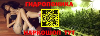 гидра Малгобек