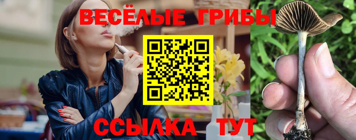 Галлюциногенные грибы мухоморы  Вход с VPN  Шарыпово 